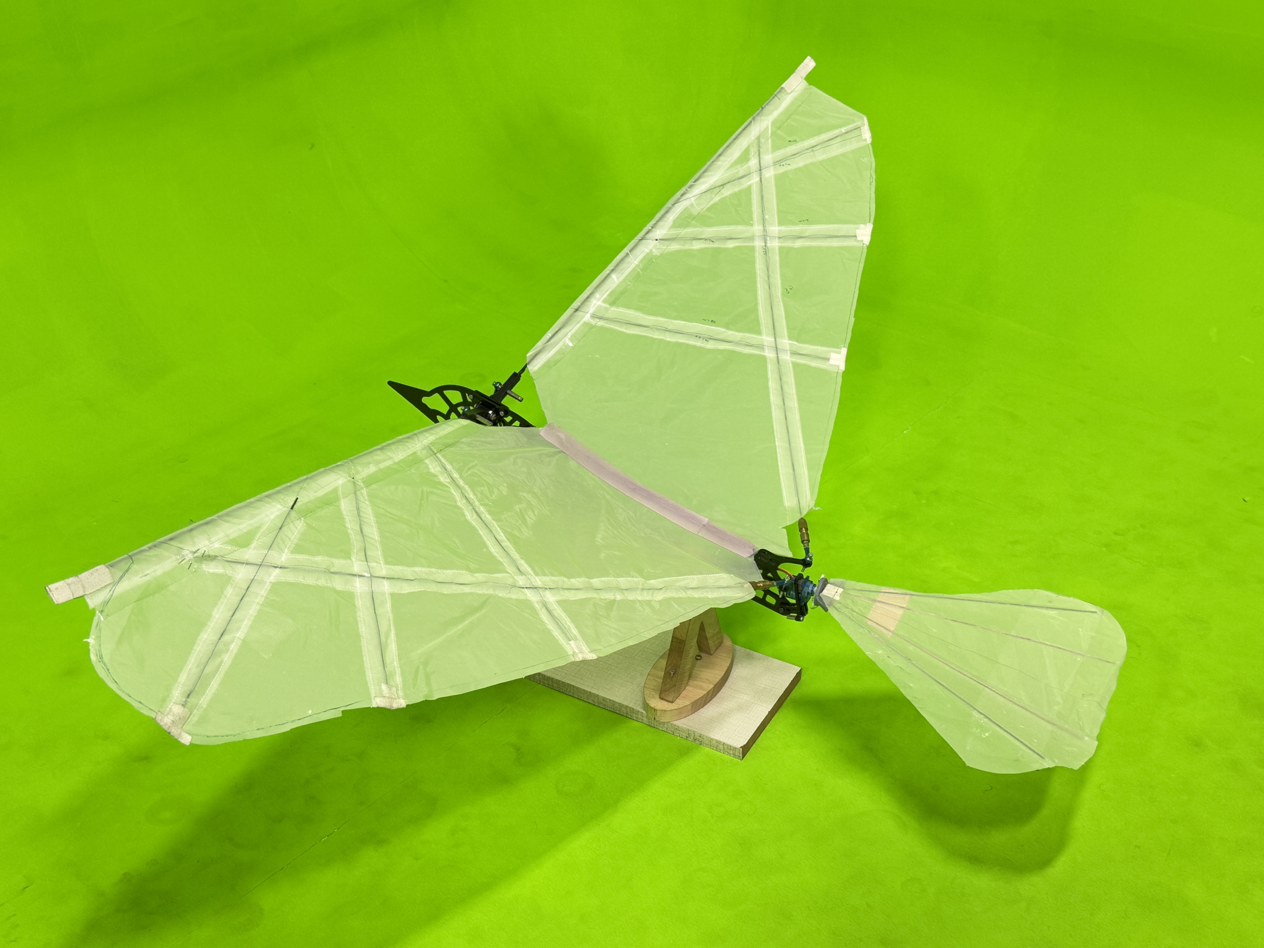 Drone 7